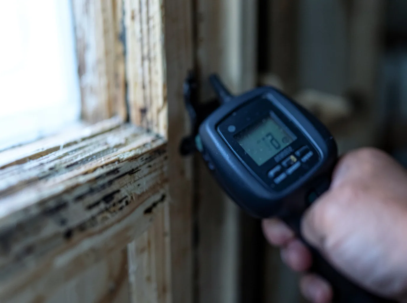 Moisture Inspection And Documentation in Hempstead, NY